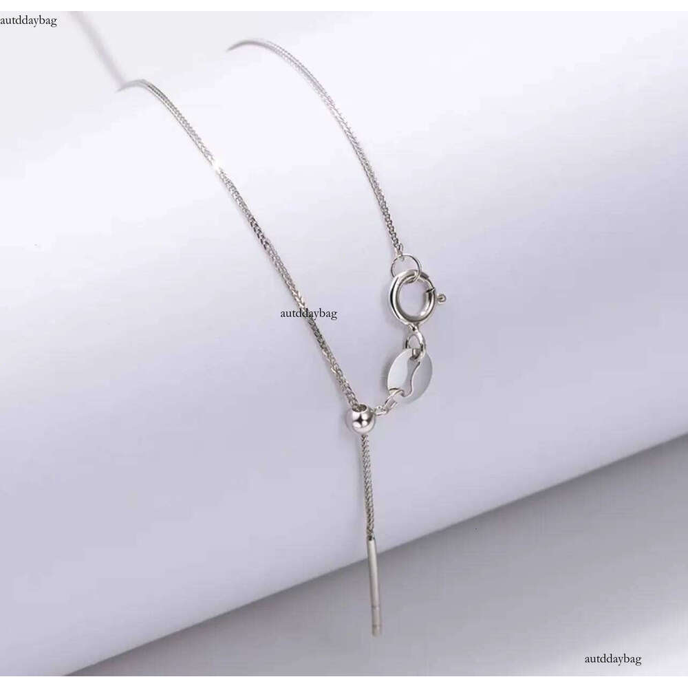 2025 Ins Top Sell Chopin's Needle Chains Simple Fashion jewelry Gold Fill Adjustable Party Women Caicle Necklace For Men Gift