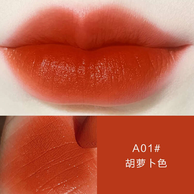 HLLR Black Gold Tube Matte Finish Long-lasting Lip Gloss Student Moisturizing Lipstick Makeup Free shipping Free shipping