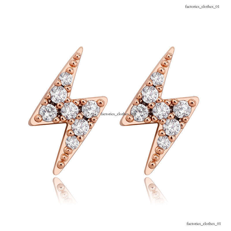 INS Lighing Zircon Hip-Hop Women's Earrings New Pure Sier Jewelry