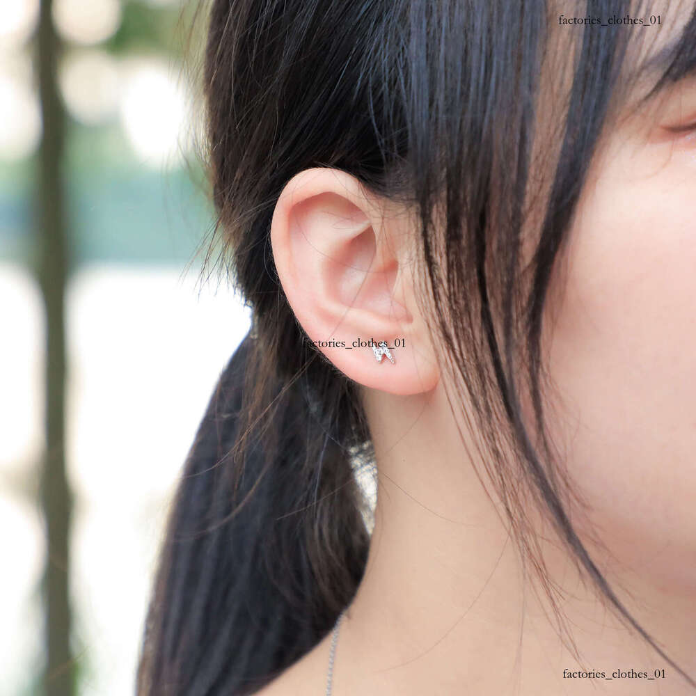INS Lighing Zircon Hip-Hop Women's Earrings New Pure Sier Jewelry