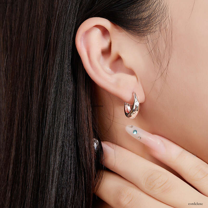 Sier Moissanite Light Style Women's High-end Personality Fashion Hoop Earrings Factory