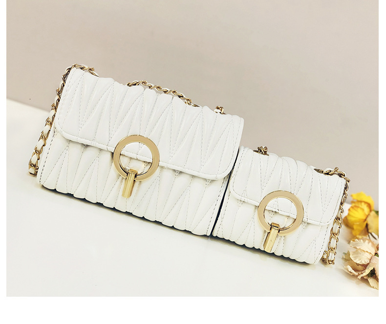 Free Shipping Designer Bag Mini Small Bag Women 2025 New Trendy Ins Fashion Korean Version Chain Shoulder Crossbody Bag Internet Celebrity Luxury Bag 