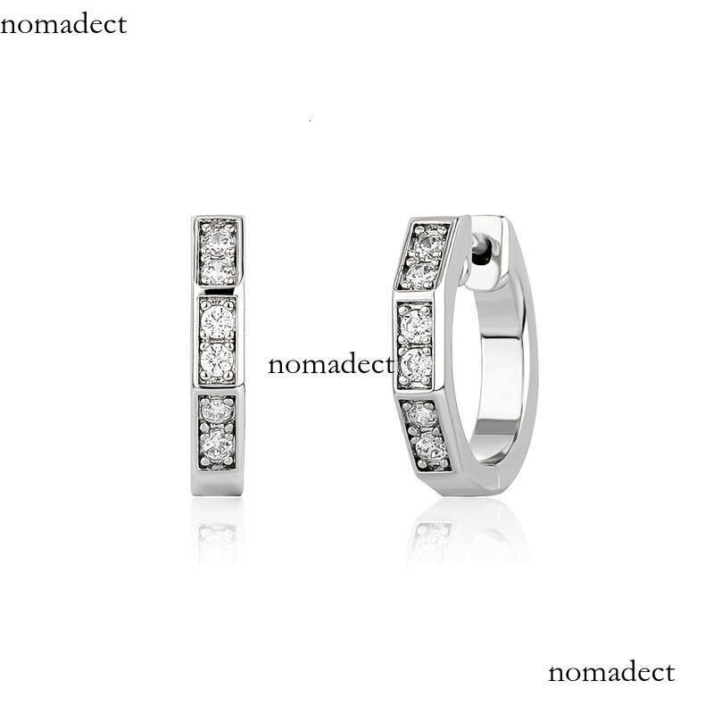 Bamboo Zircon for Women New Style Personality Internet Celebrity Versatile Minimalist Elegant Stud Hoop Earrings Buckle