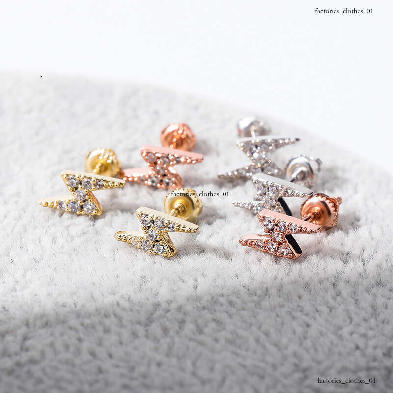 INS Lighing Zircon Hip-Hop Women's Earrings New Pure Sier Jewelry