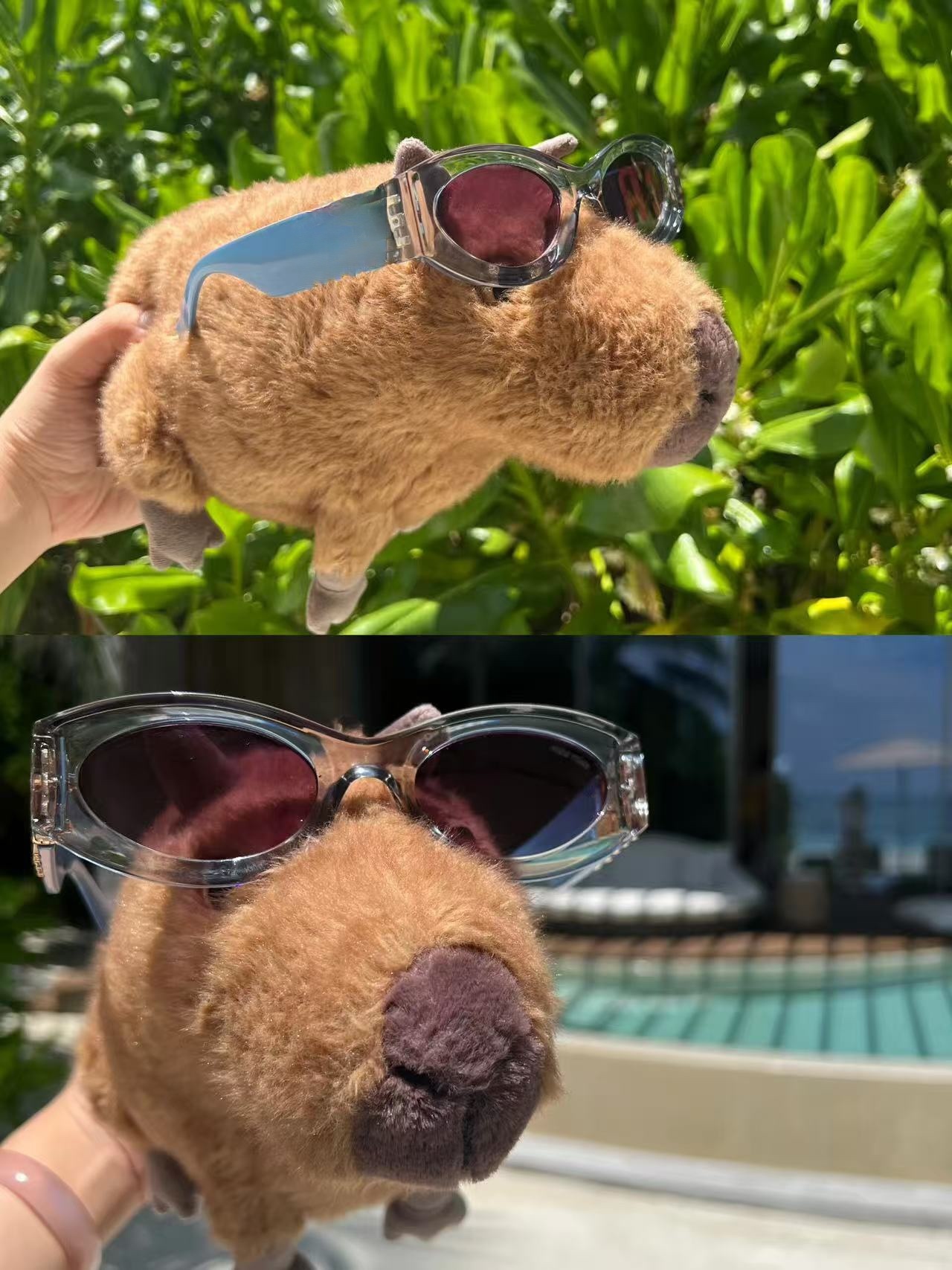 Dolls jellys cat Clyde Capybara Plush Children's plush toys Kapibala Soft Toy Dolphin body pillow Cute Soothing Doll GiftsJelly Cat Y260128