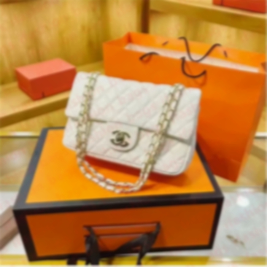 2025 high quality Designer Bags Women Shoulder Chain Clutch Flap Tote Bag C Wallet Check Purse Double Letter Solid Hasp Waist Square Stripes backpack 11