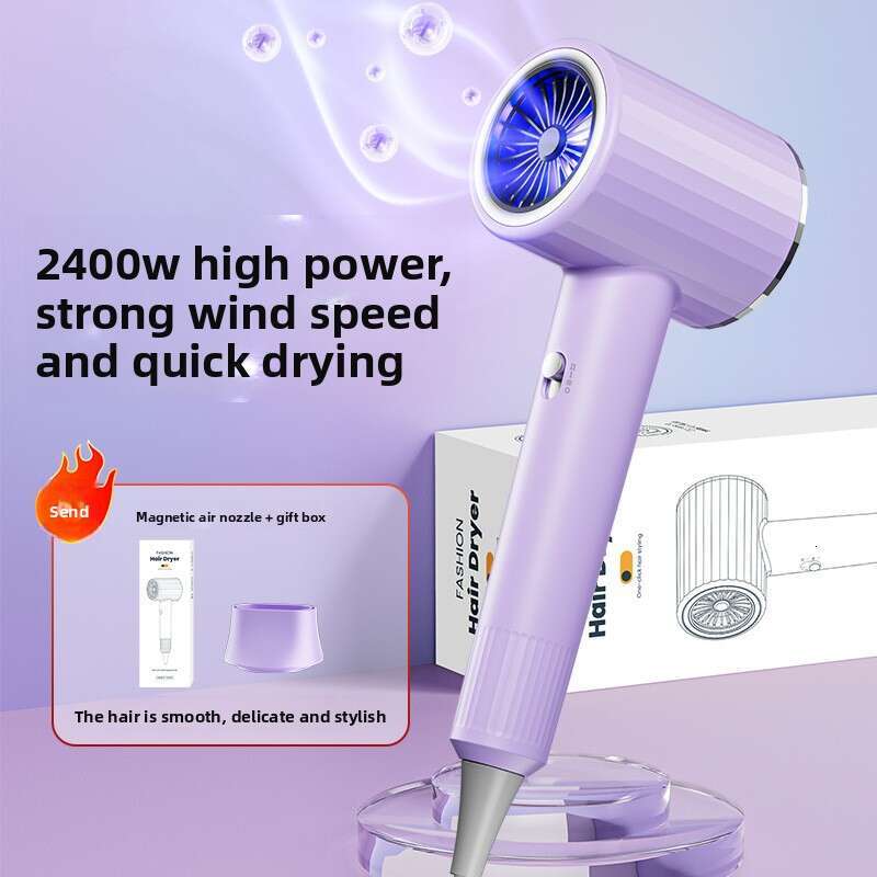 High-Speed High-Power Household Salon Blue Light Negative Ion Hair Care Dryer