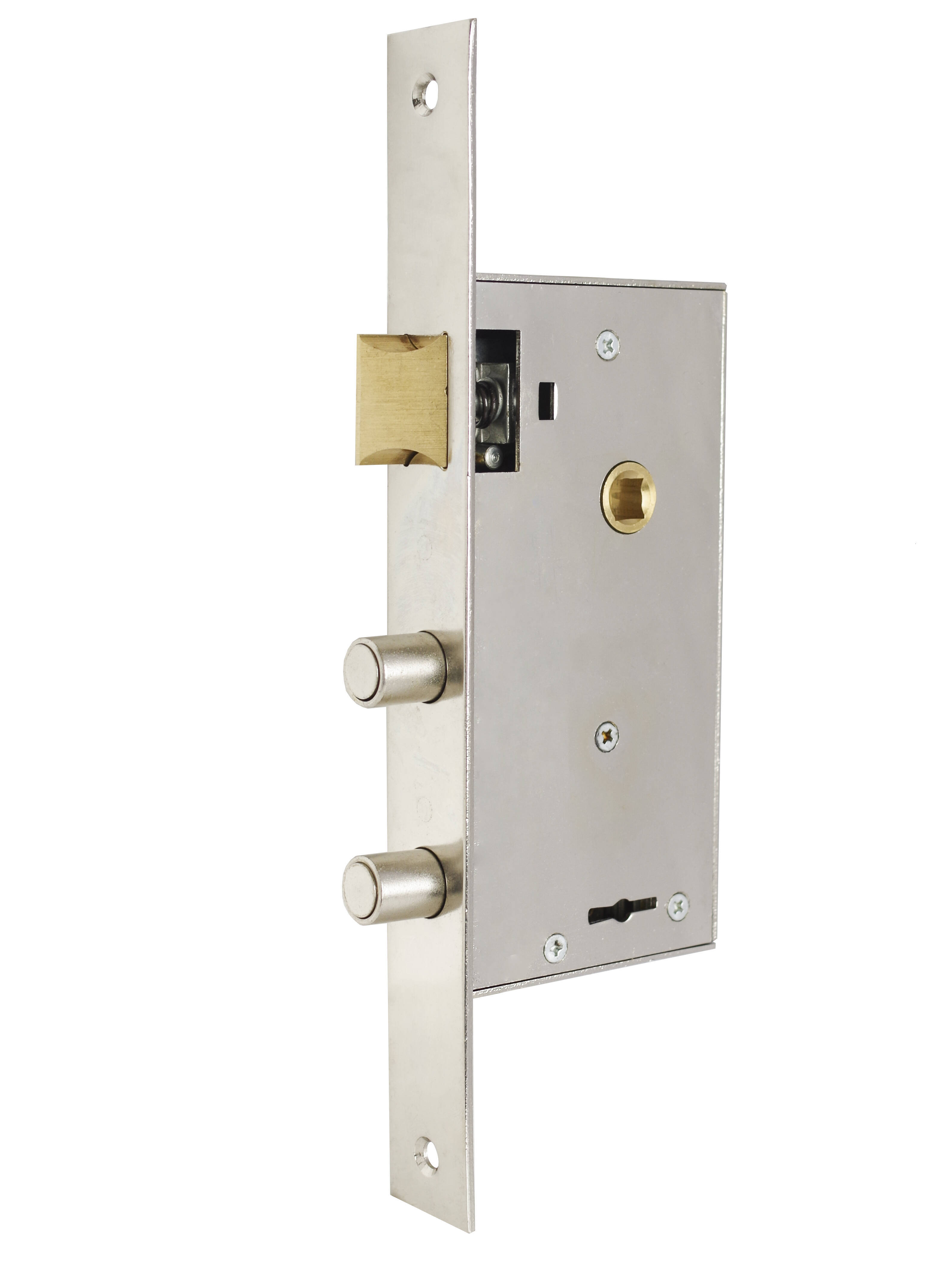 Argentine Leaf Key Insert Lock Body