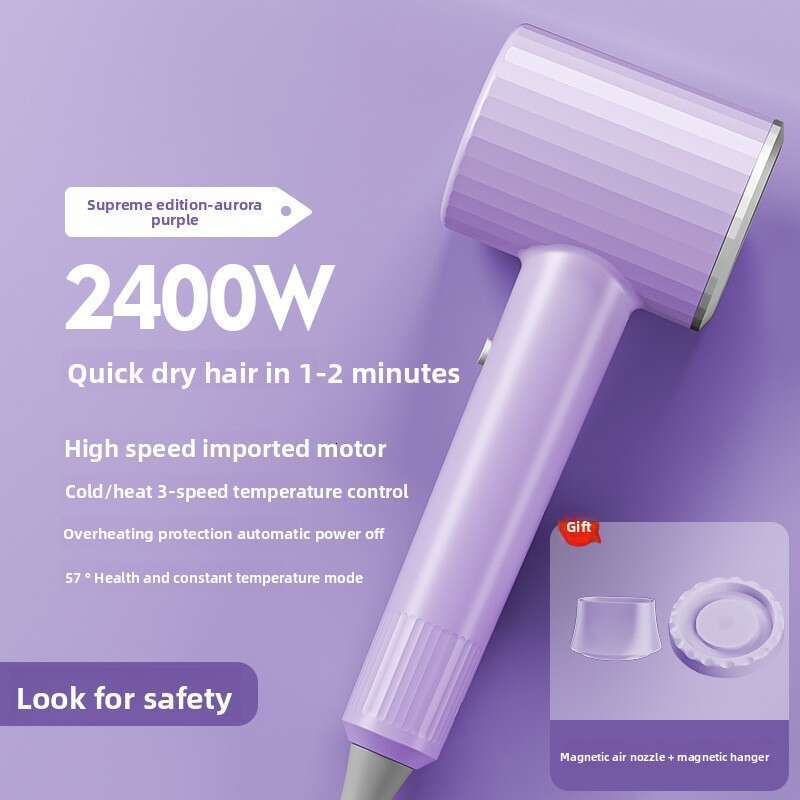 High-Speed High-Power Household Salon Blue Light Negative Ion Hair Care Dryer
