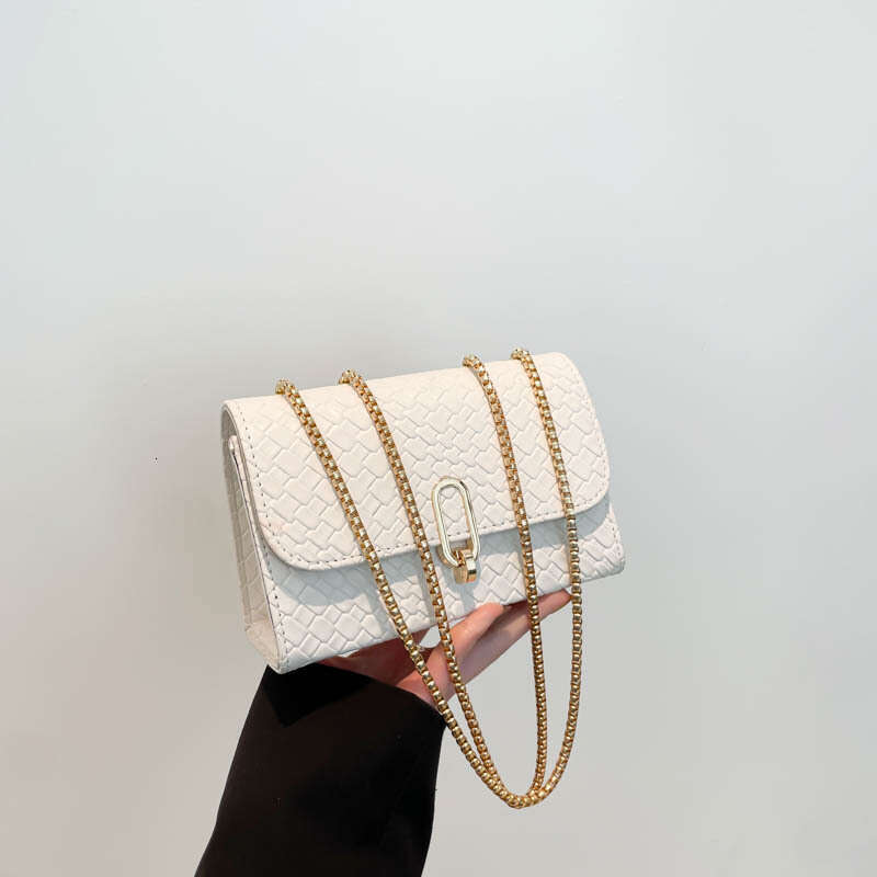 High-Value Commuting for Women 2025 Spring New Designer Fashion Chain Small Square Solid Color Simple Women's Bag