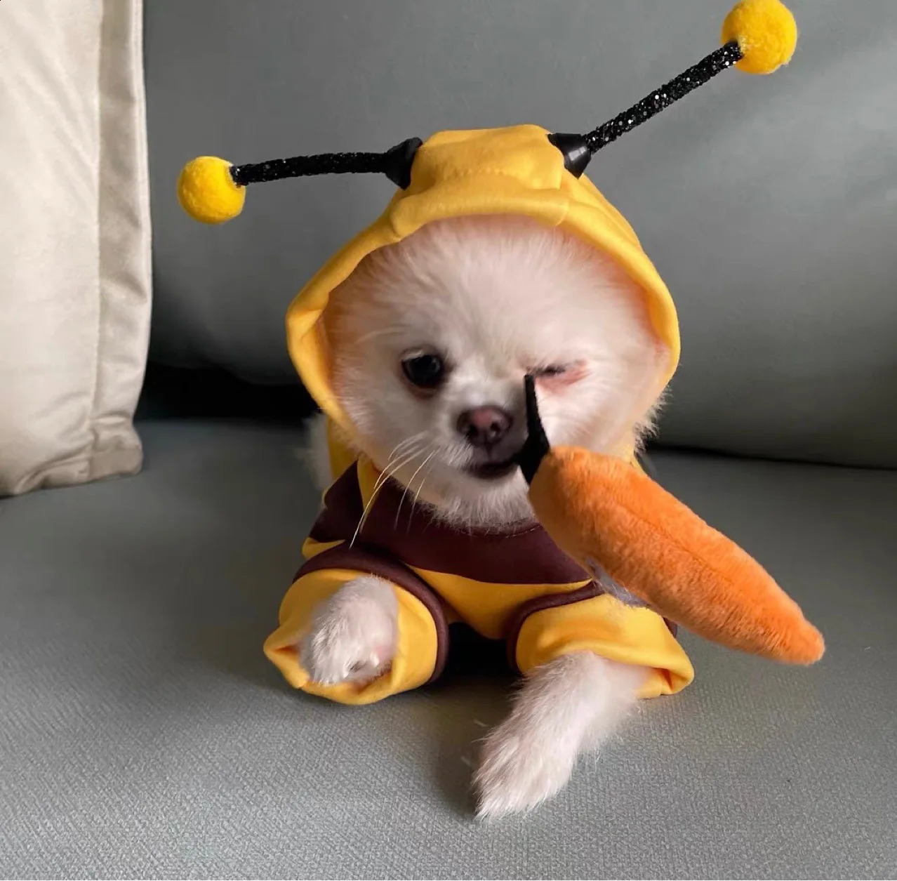 1PCS Dog Clothes For Autumn And Winter Schnauzer Teddy Small Puppy Cat Pet Hoodie Bee Transformation Suit 250806