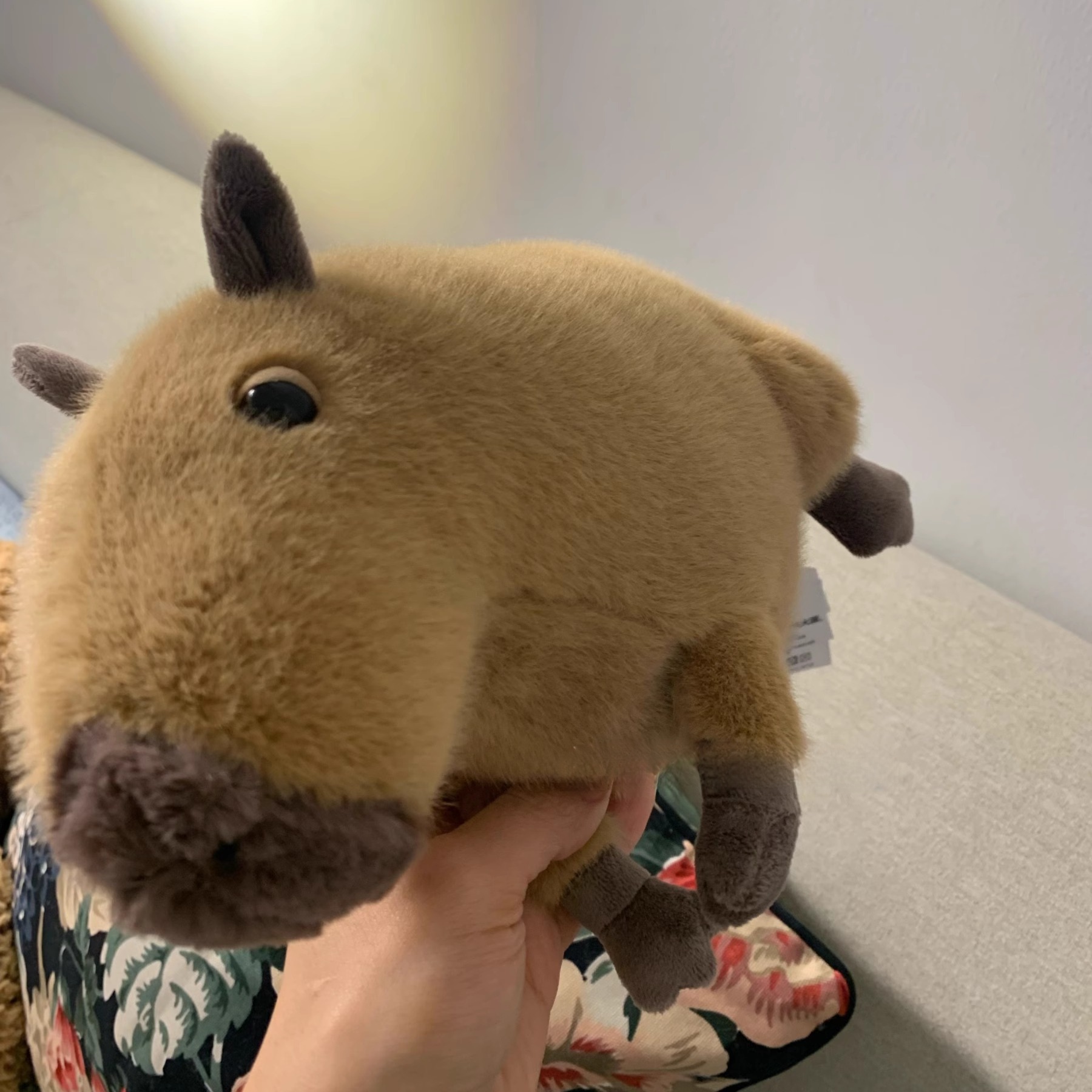 Dolls jellys cat Clyde Capybara Plush Children's plush toys Kapibala Soft Toy Dolphin body pillow Cute Soothing Doll GiftsJelly Cat Y260128