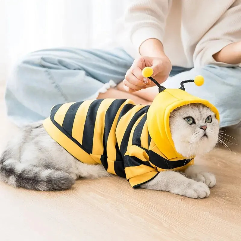 1PCS Dog Clothes For Autumn And Winter Schnauzer Teddy Small Puppy Cat Pet Hoodie Bee Transformation Suit 250806