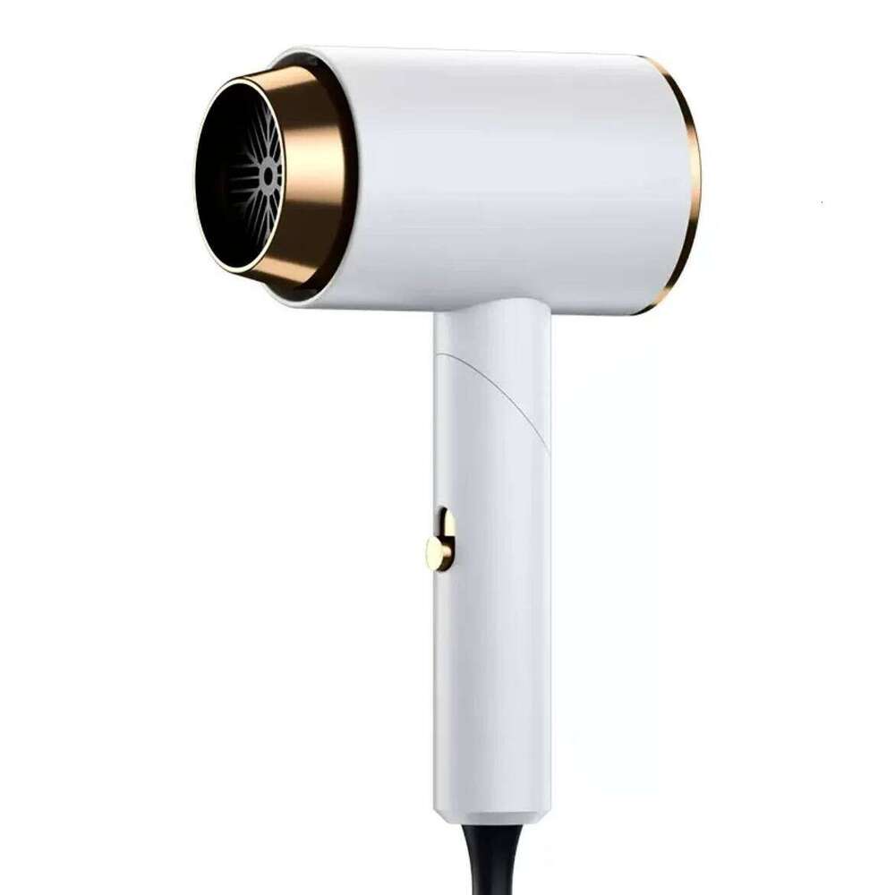 Professional Salon Hair Dryer With Ionic Heat Protection Portable For Home Travel-For Household & Hotel Use High Quality