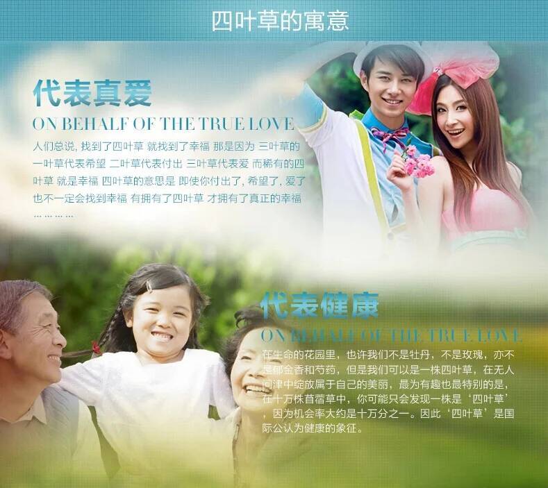 Sterling Sier clover Necklaces & Pendants For Women Fashion Lady Festival Gift Sterling-sier-jewelry