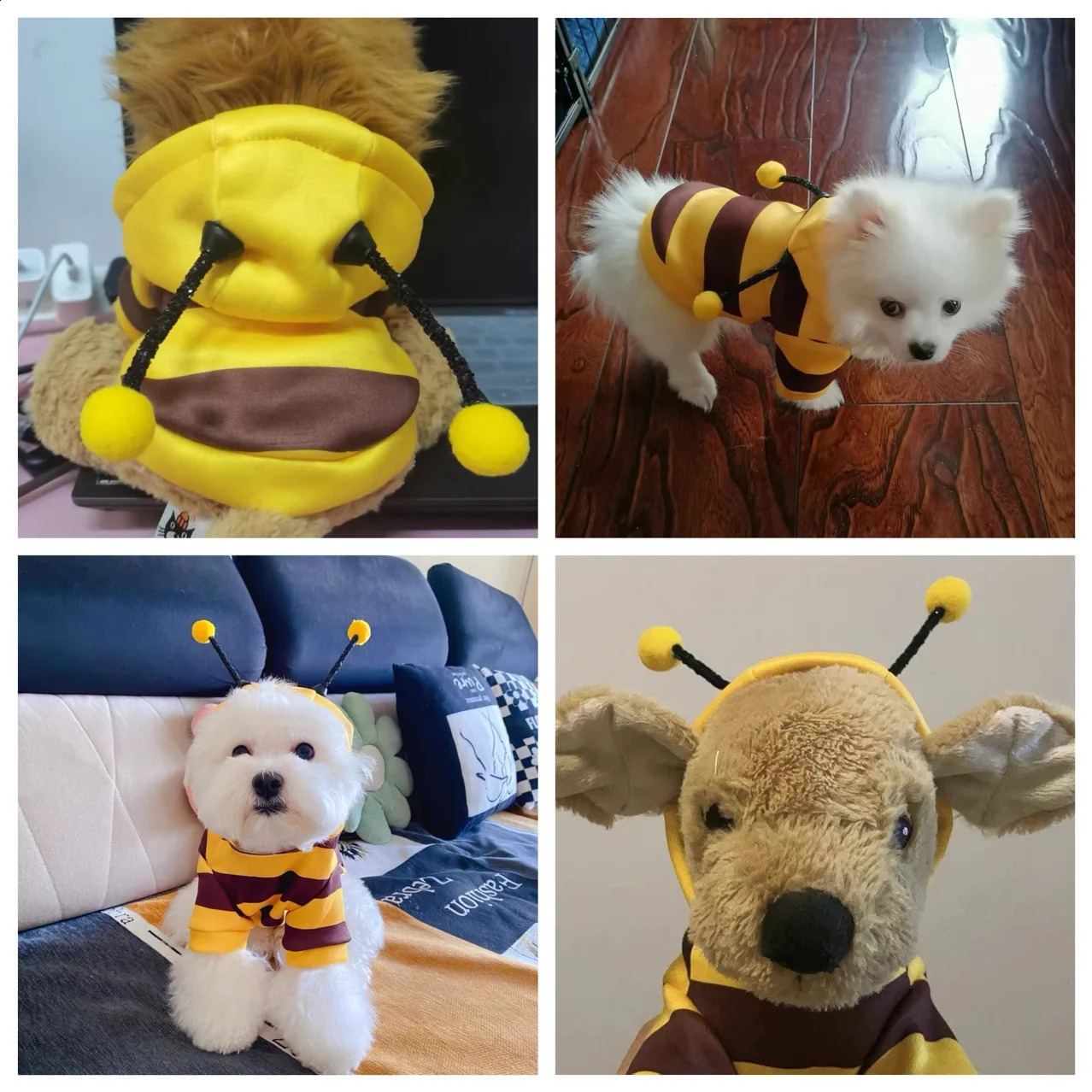 1PCS Dog Clothes For Autumn And Winter Schnauzer Teddy Small Puppy Cat Pet Hoodie Bee Transformation Suit 250806