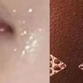 5 Sheets Lace Mesh Eyelid Paste-shaped Invisible Double Fold Eyelid Shadow Tape Sticker Beauty Tool 250807