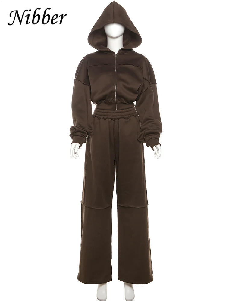 Nibber Casual Tracksuit Women 2 Piece Set Panelled Stripes Sporty Simple Hipster Hooded Zip JacketWide Pants Matching Suits 250806