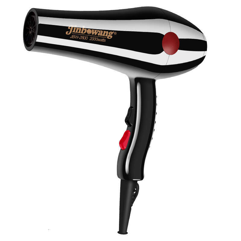 2800 Salon Professional High Power Household Electric Hair Dryer
