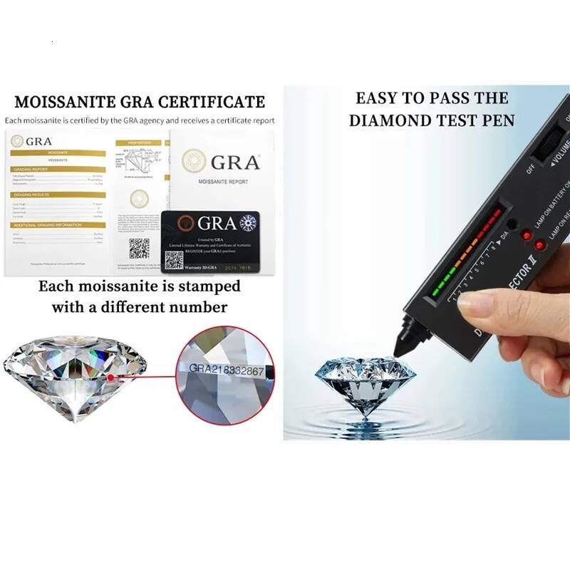 Lonian&C 1CT 2CT Heart Shaped Cut Moissanite Necklace Women Plated White Gold Sterling Sier Pendant Dia Test Pass