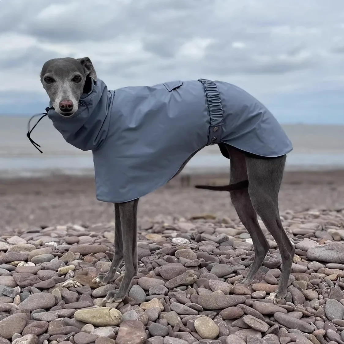 Fashion Adjustable Greyhound Whippet Raincoat Waterproof Windproof Berlington Terrier Soft Dog Vest Jacket for Media Large Dogs 250805