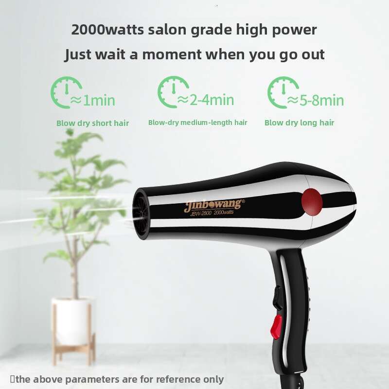 2800 Salon Professional High Power Household Electric Hair Dryer