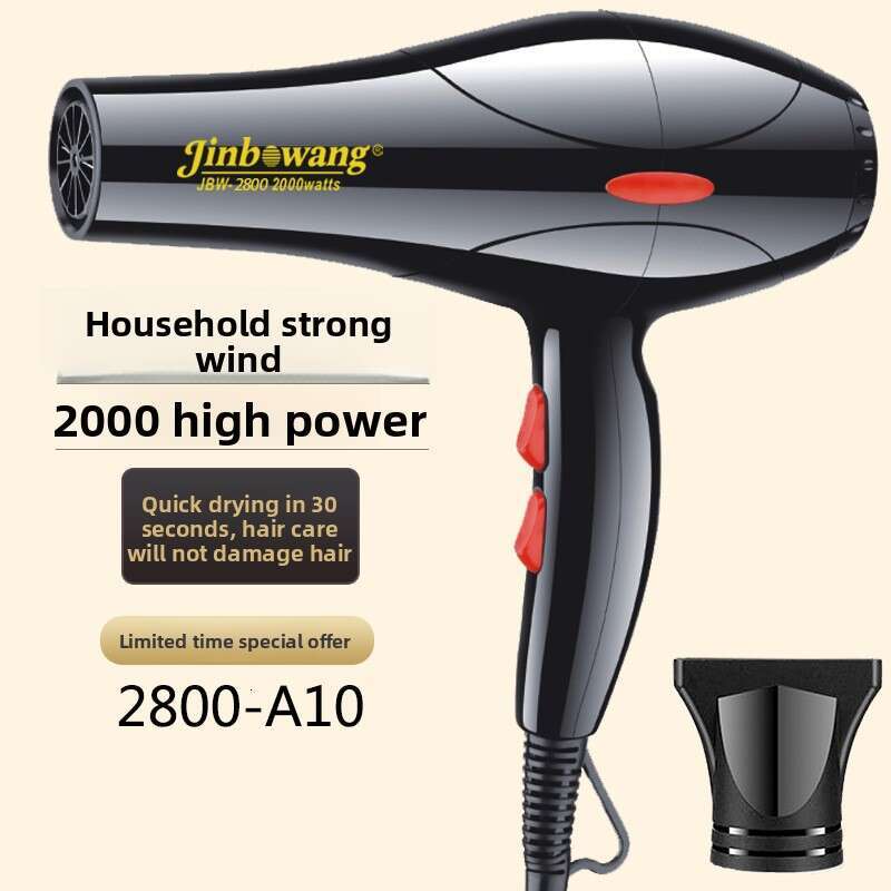 2800 Salon Professional High Power Household Electric Hair Dryer