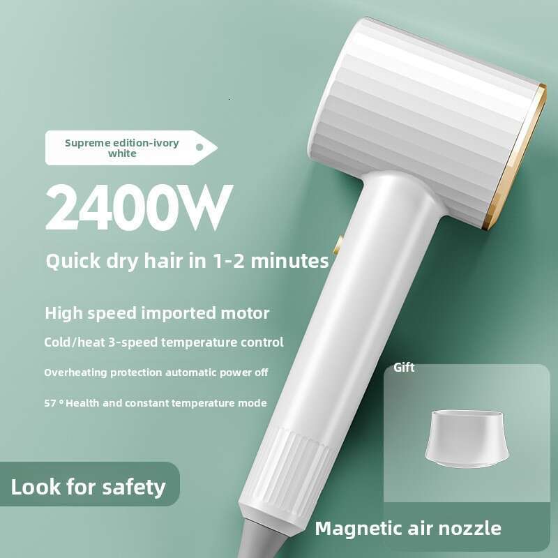 High-Speed High-Power Household Salon Blue Light Negative Ion Hair Care Dryer