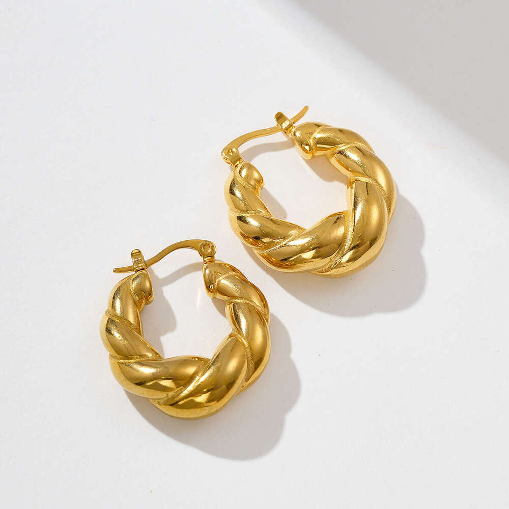 Double Strand Solid Horn Bag Internet Celebrity Style Gold-Plated Titanium Steel Braided Earrings