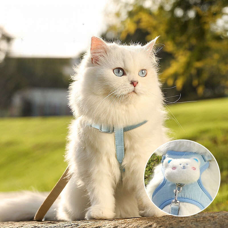 Vest Style Walking Leash for Dogs Teddy Bichon Small Breed Chest Harness Outdoor Dog Chain Pet