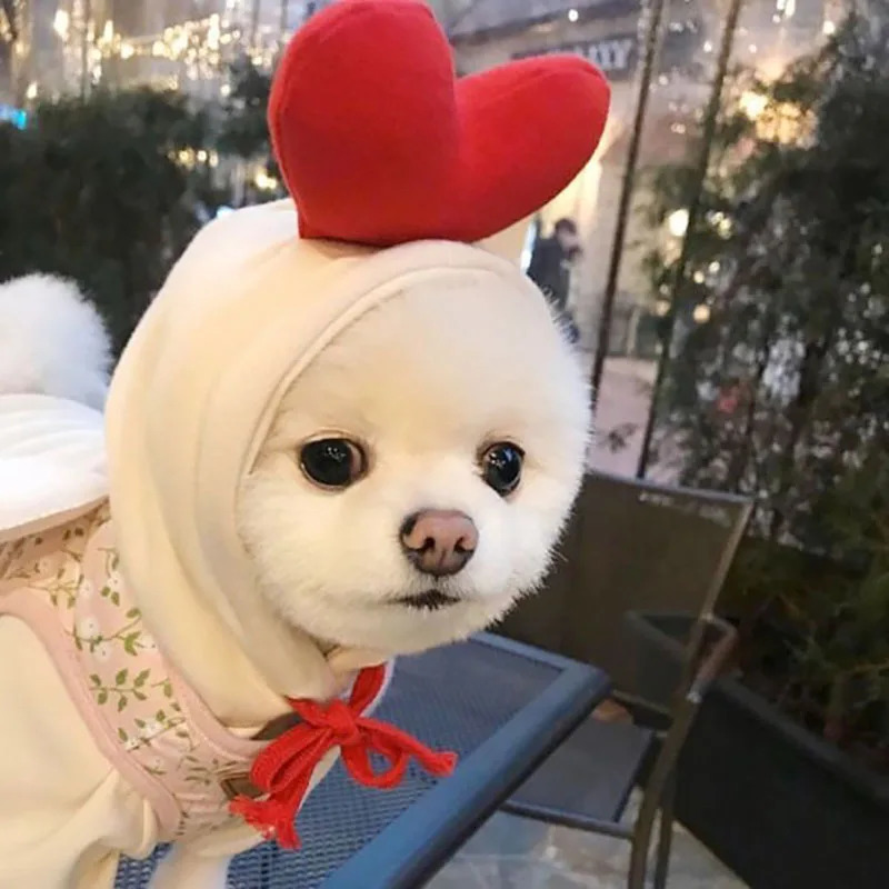 Winter Pet Dog Sweatshirt Small and Medium Dog Casual Clothes Pet Love Two Legs Clothes Warm Cartoon Dog Clothes 250806