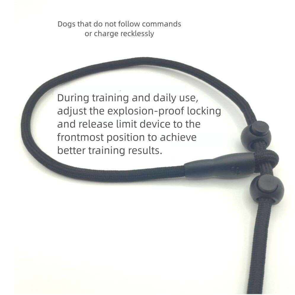 Small P-String Integrated Professional Training P-Chain Explosion-Proof Dog Walking Leash