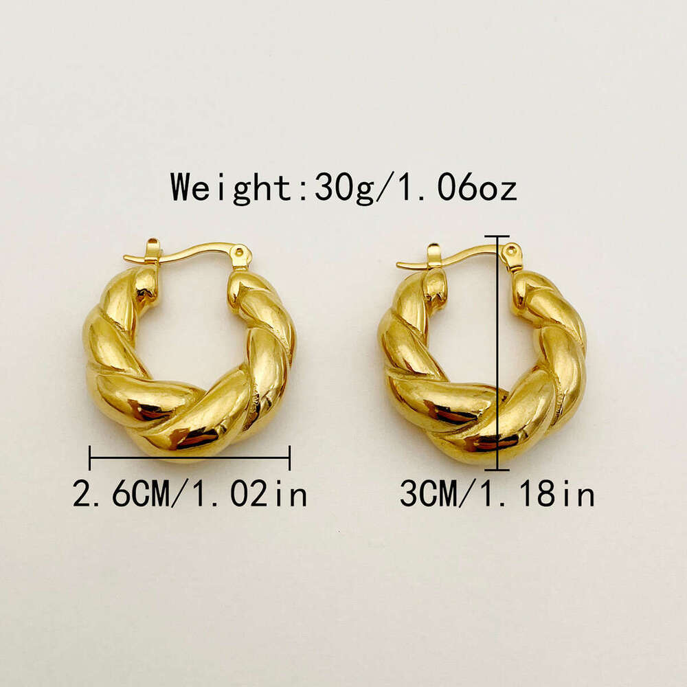 Double Strand Solid Horn Bag Internet Celebrity Style Gold-Plated Titanium Steel Braided Earrings