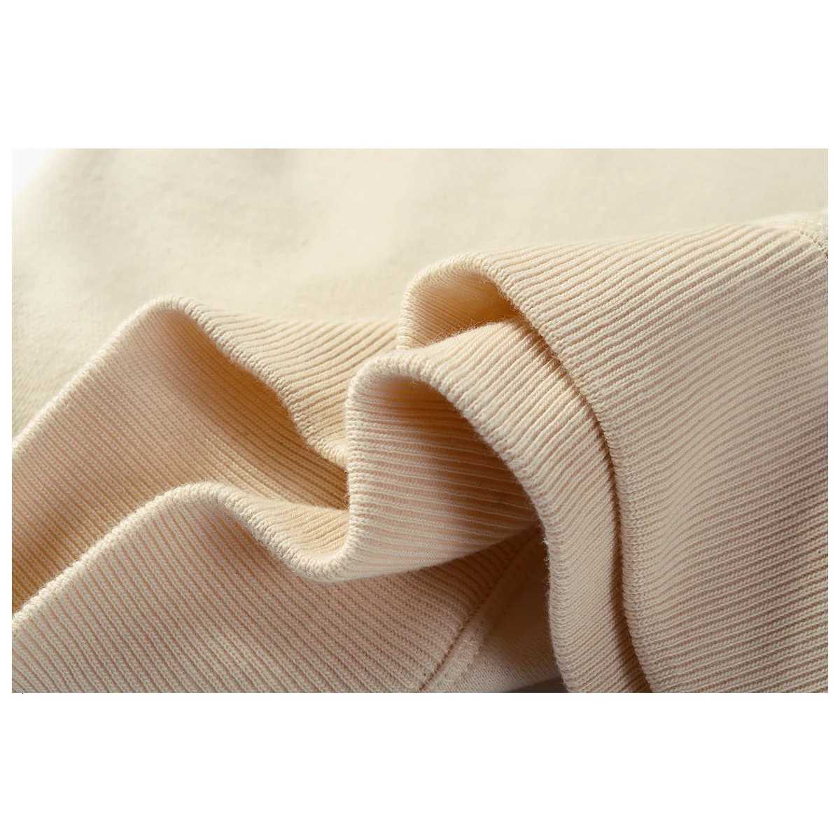 Embryo Cotton Autumn Heavyweight Retro Literary Japan Round Neck Loose Casual Sports Solid Color Bottoming Sweatshirt Y250811