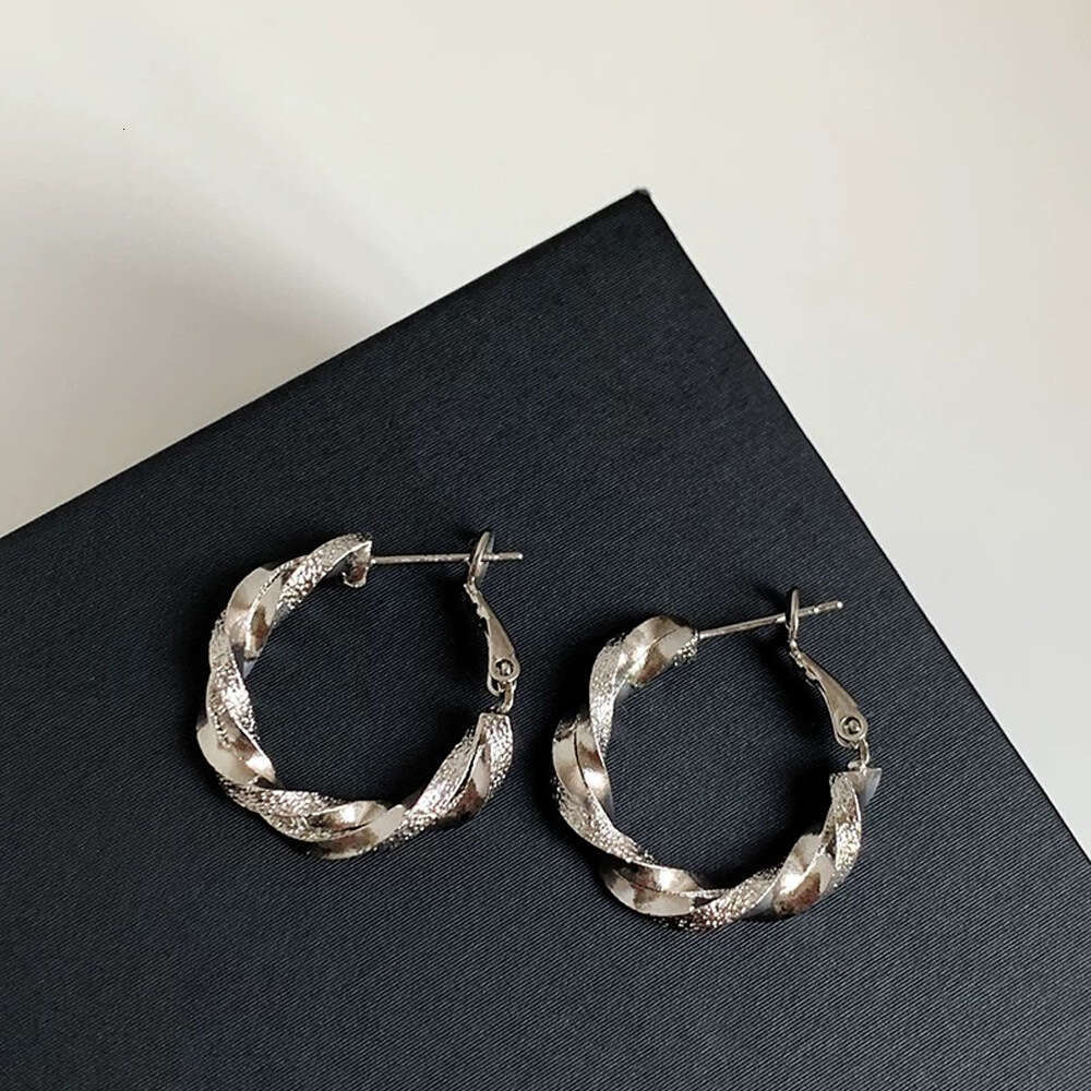 French Fashion Simple High-End Mobius Strip Personality Earrings Light Niche Temperament Versatile Ear Jewelry