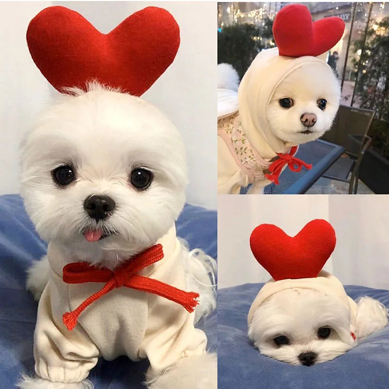 Winter Pet Dog Sweatshirt Small and Medium Dog Casual Clothes Pet Love Two Legs Clothes Warm Cartoon Dog Clothes 250806
