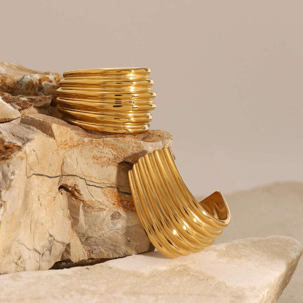 Stainless Double C Exaggerated Earrs High-end Designer Jewelry Ins Style Titanium Steel Jewelry for Women