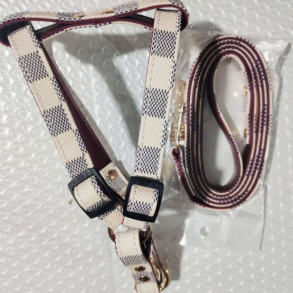 Pet Leashes Designer dog Coller set Vintage PU Leather Trendy Adjustable Cute Pets cat collars Leash Dogs Outfit for Outdoor Activities