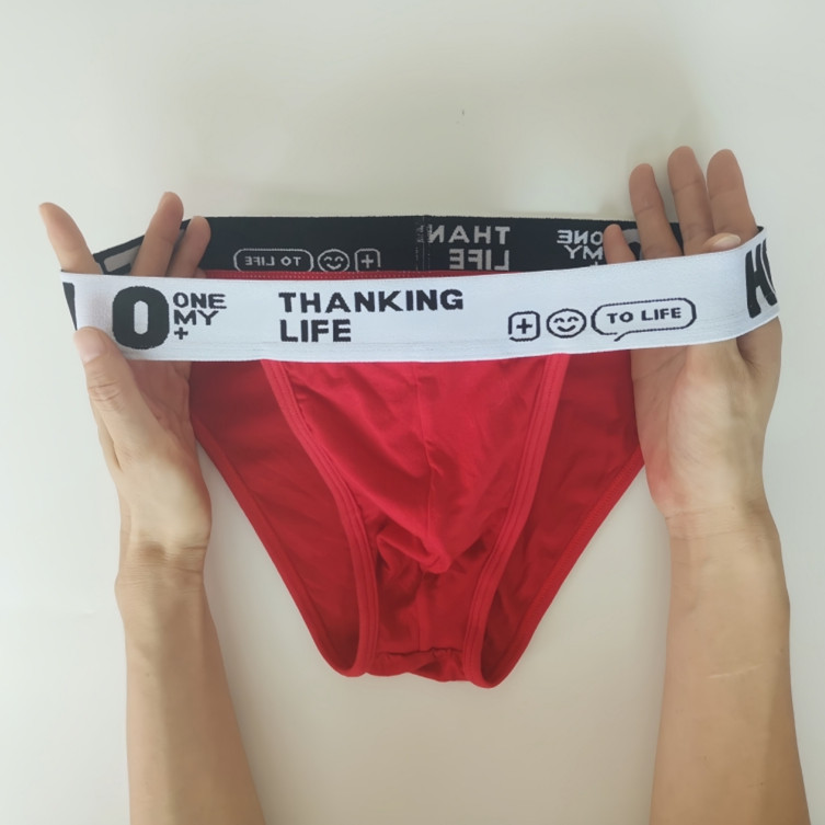 Men's Triangle Briefs - Soft Modal Fabric with Breathable Comfort Close fitting suitable