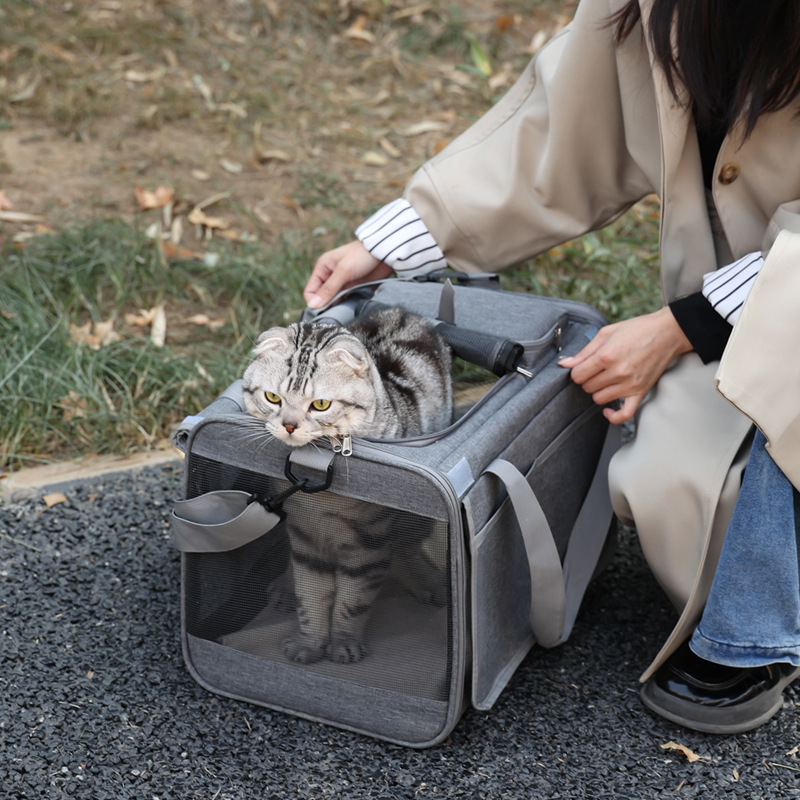 Beni Pet Large Capacity Portable Breathable Animal Carrying Bag - Ideal For Cats and Dogs