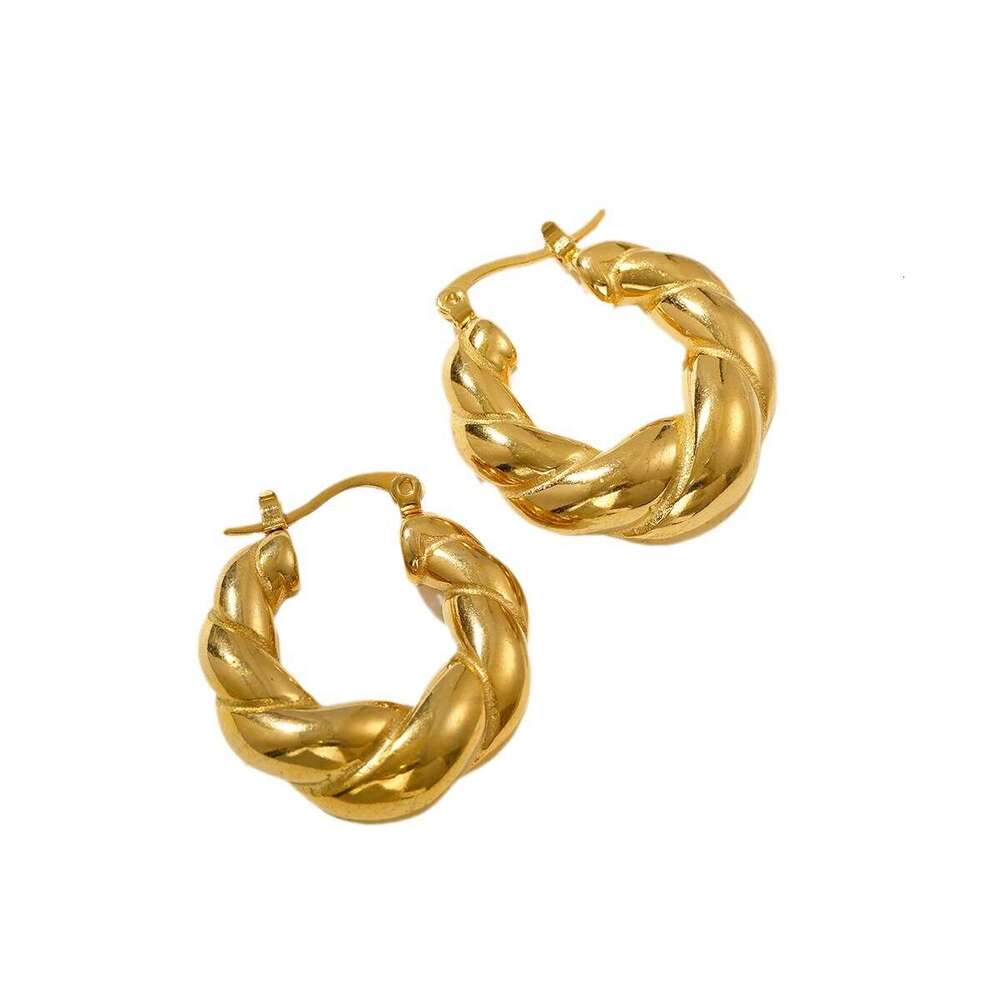 Double Strand Solid Horn Bag Internet Celebrity Style Gold-Plated Titanium Steel Braided Earrings