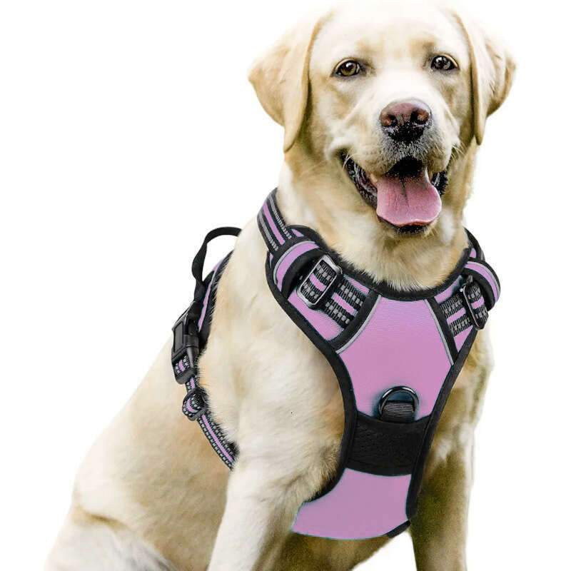 Nylon Leash Large Dog Harness Pet Supplies