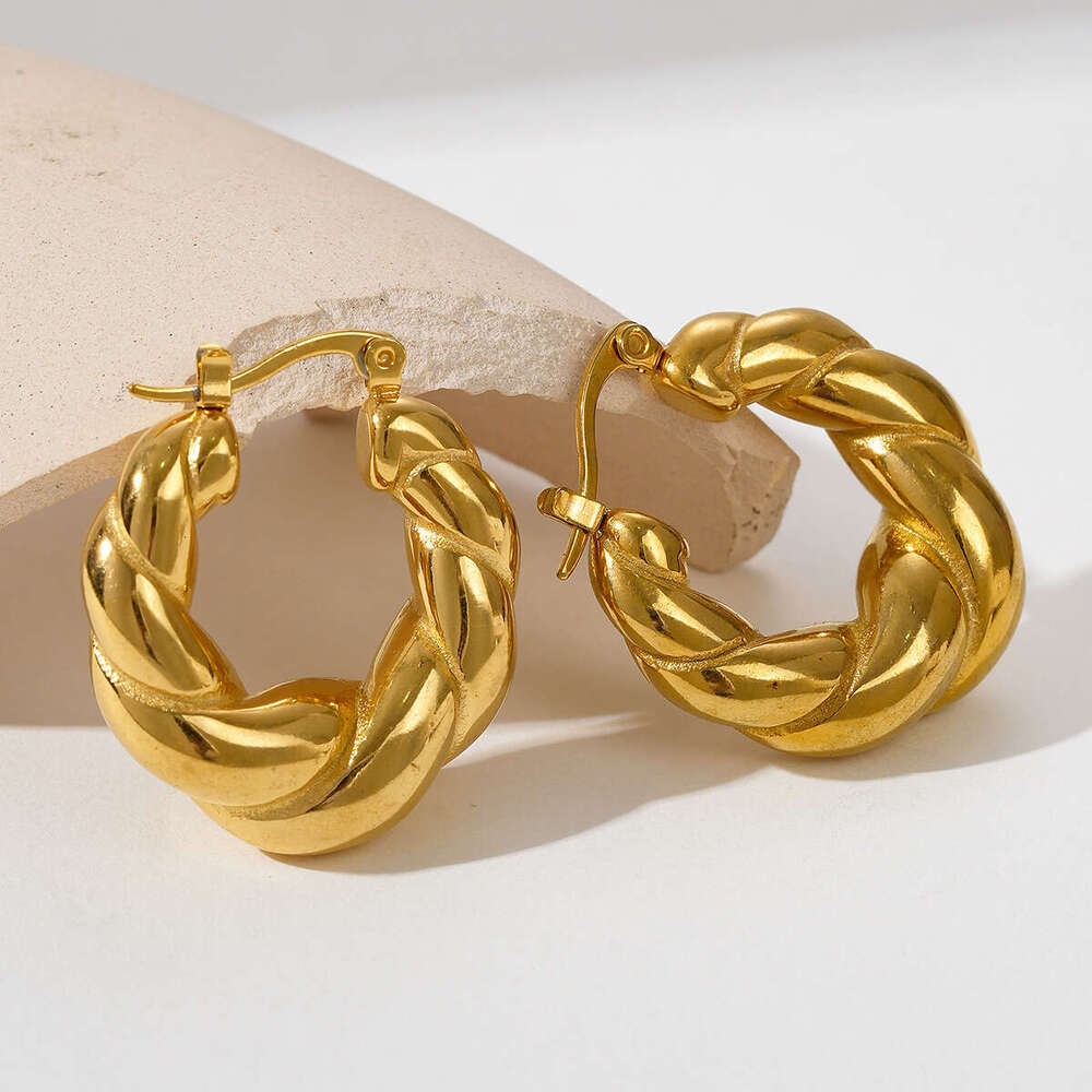 Double Strand Solid Horn Bag Internet Celebrity Style Gold-Plated Titanium Steel Braided Earrings