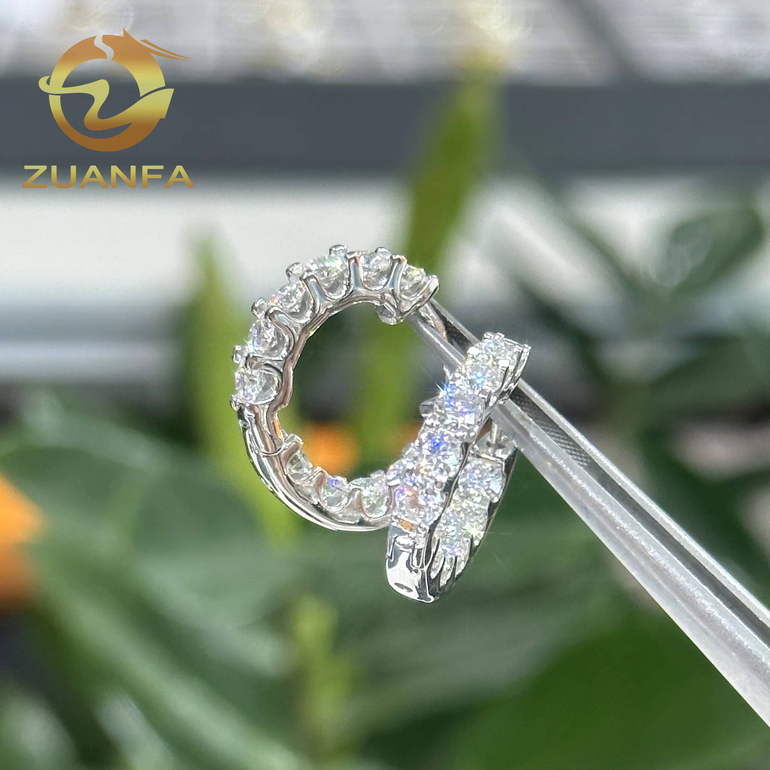 Pass Diamond Test High Quality Hip Hop Moissanite Stud Earring Hoop 925 Sterling Silver Moissanite Stud Earrings for Men Women