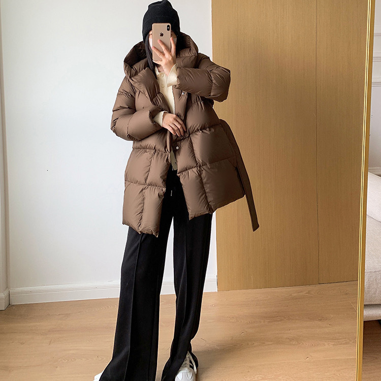 Jiangnan Style 2024 Winter New Short Waist-Cinching Hooded Down Jacket for Women White Duck Down Belted Slimming Coat for Women 241122
