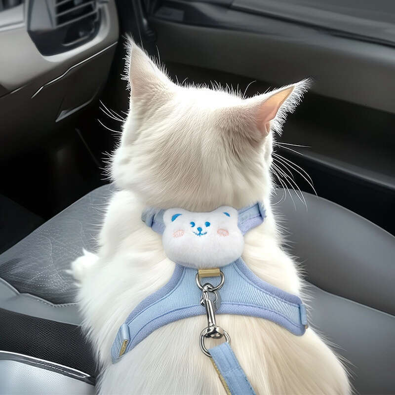 Vest Style Walking Leash for Dogs Teddy Bichon Small Breed Chest Harness Outdoor Dog Chain Pet