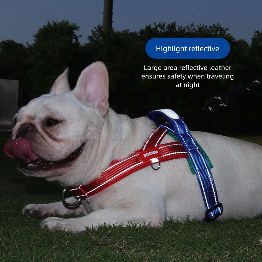 New Pet Harness Wide Webbing Color Block Non-Choking Outdoor Dog Walking Leash