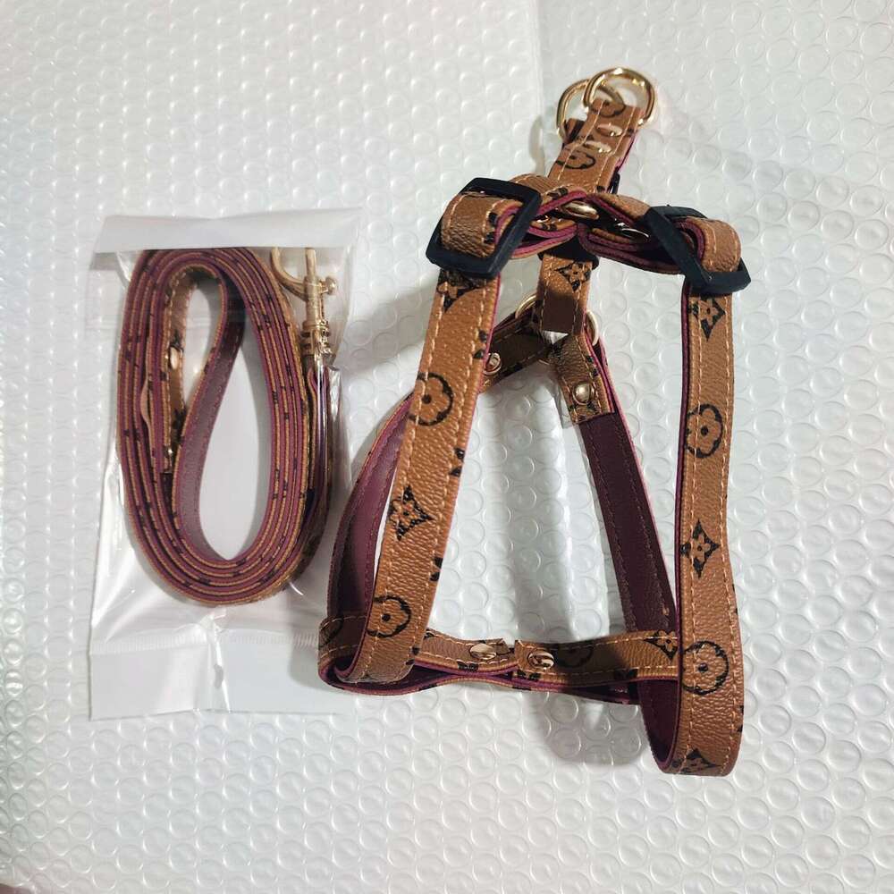 Pet Leashes Designer dog Coller set Vintage PU Leather Trendy Adjustable Cute Pets cat collars Leash Dogs Outfit for Outdoor Activities