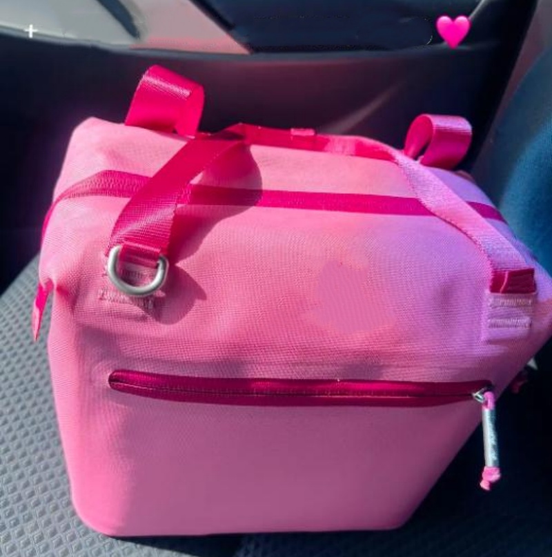 All US STOCK Day Julienne Mini Soft Lunch Bag Boxes Recycled Polyester 10 cans 12-Hour Cooling Travel Cooler Bags With In Hand 0812
