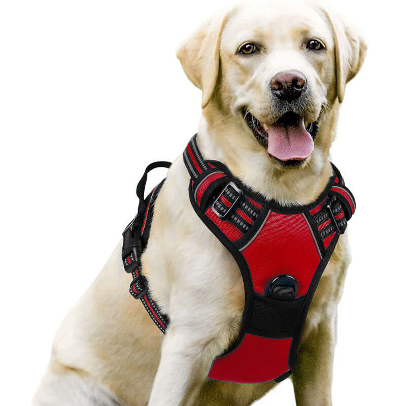 Nylon Leash Large Dog Harness Pet Supplies